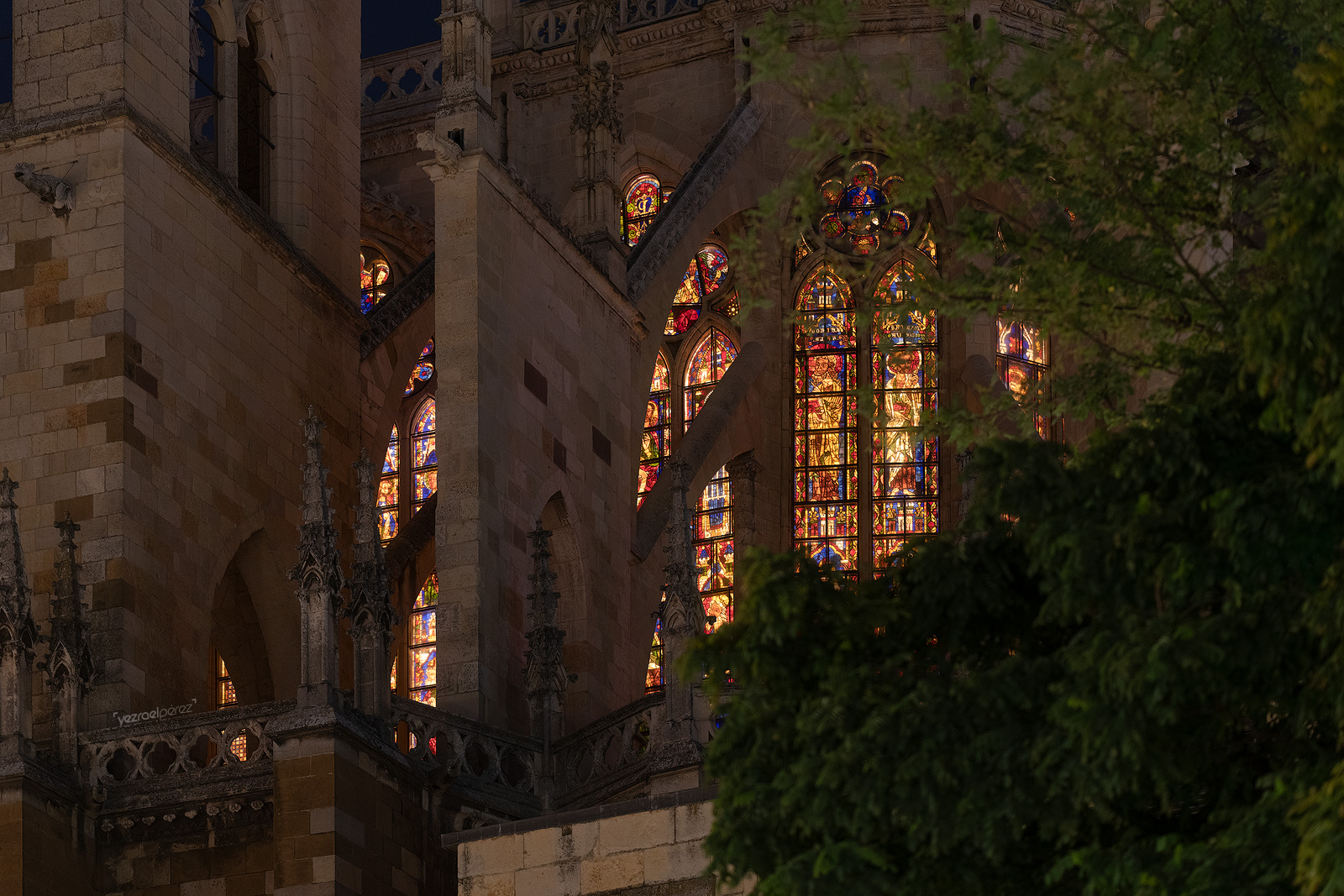 Las Vidrieras de la Catedral II