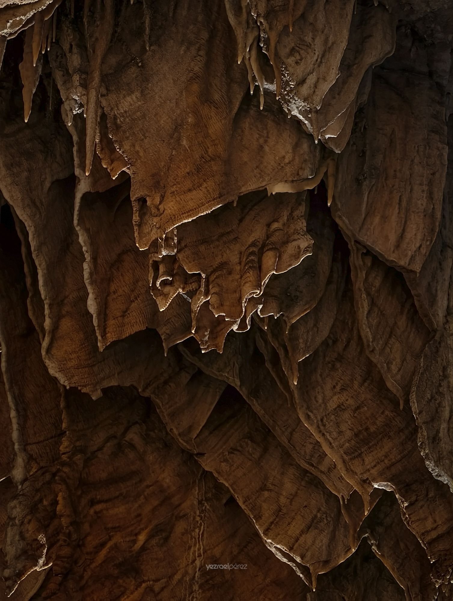 Corteza de árbol con textura rugosa y agrietada en tonos marrones, con depósitos de hielo o minerales blancos en las grietas.