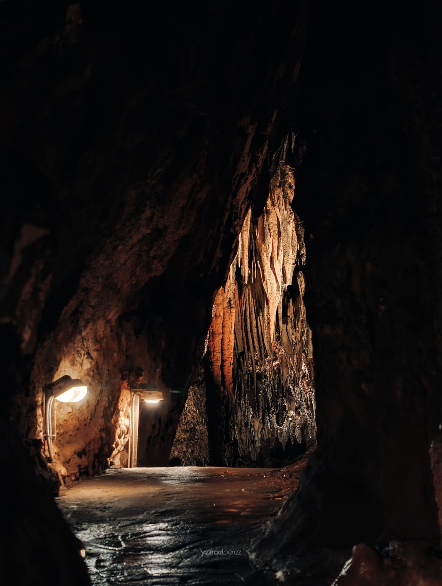 Cueva subterránea iluminada con formaciones de estalactitas doradas y una puerta de madera al fondo, rodeada de roca oscura y agua en el suelo.