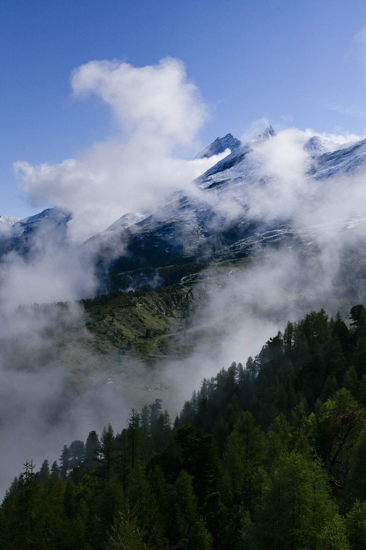 Montañas nevadas parcialmente cubiertas por nubes densas, con bosque de coníferas verde en primer plano bajo cielo azul despejado